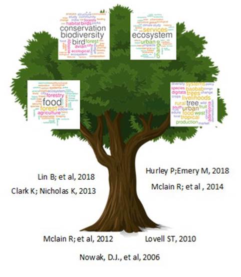 Árbol de la agroforestería urbana