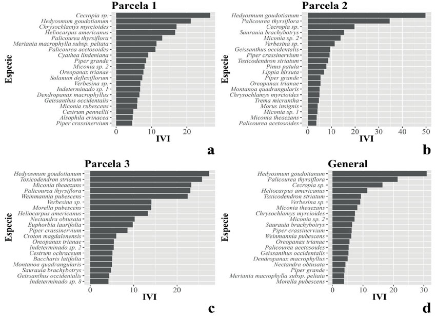 Las 20 especies con mayor índice de valor de importancia (IVI) en cada parcela y en general. 