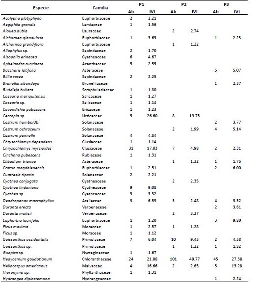 Especies de plantas incluidas en este estudio. Para cada especie, se presenta la abundancia (Ab) y el índice de valor de importancia (IVI) en la parcela 1 (P1), la parcela 2 (P2) y la parcela 3 (P3).