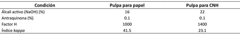 Parmetros usados en el pulpaje para fabricacin de papel y CNF