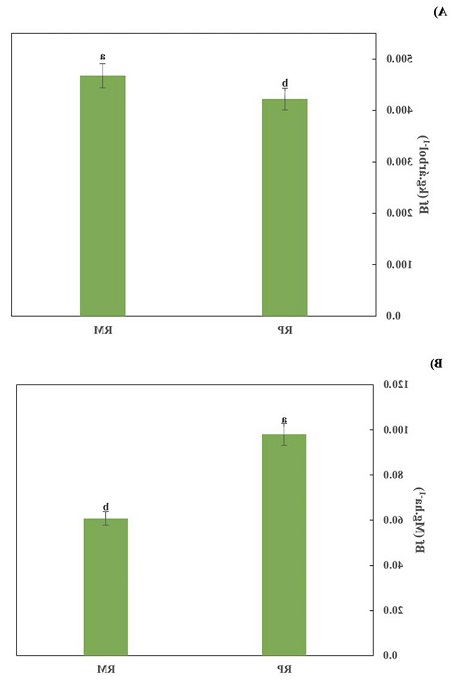 Biomasa del fuste en rodales comerciales de G. arborea de 18 aos en el estado de Nayarit, Mxico. a) Biomasa del fuste promedio rbol y b) biomasa del fuste por superficie. Los valores de medias ( error estndar) con diferentes letras en cada barra son estadsticamente diferentes (p≤0.05); n = 20. Esta representacin grfica nicamente compar la G. arborea del RP con la del RM.