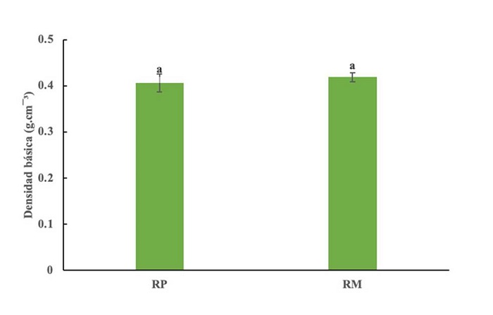Densidad bsica de la madera de G. arborea establecida en rodales puros y mezclados a los 18 aos de edad en el estado de Nayarit, Mxico. Los valores de medias ( error estndar) con letras distintas en cada barra son estadsticamente diferentes (p ≤ 0.05); n = 10.