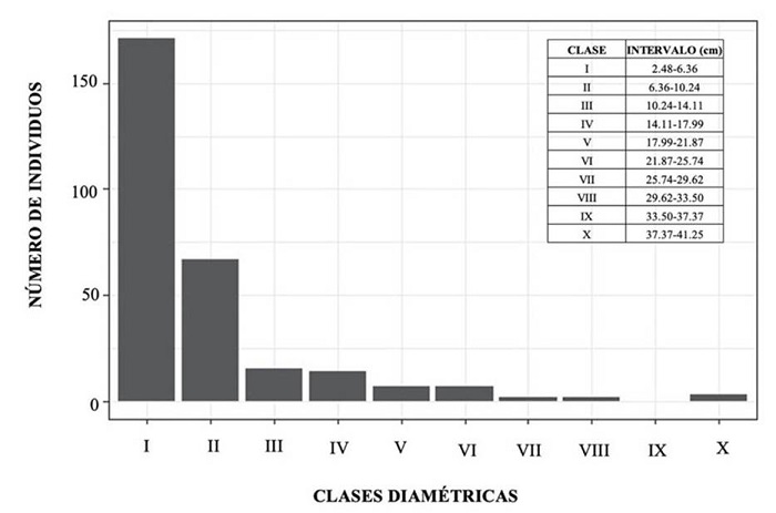 Distribucin de rboles y arbustos por clases diamtricas en un bosque de piedemonte de Cubarral, Meta