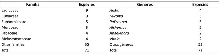 Familias y gneros ms representativos en la composicin florstica del bosque de piedemonte de Cubarral, Meta