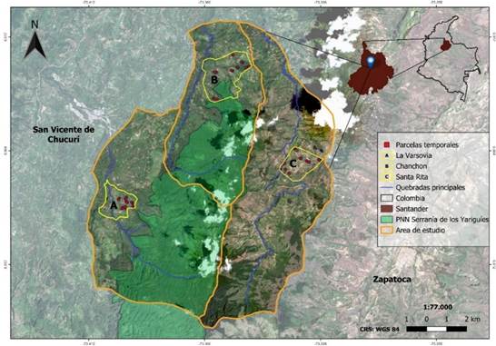 Área de estudio, sector norte de la Serranía de Los Yariguíes (Santander). San Vicente de Chucurí: Sector A: Vereda Mérida - antigua Hacienda Varsovia; Sector B: Vereda Chanchón - antigua Hacienda Chanchón. Zapatoca: Sector C: Vereda Santa Rita.