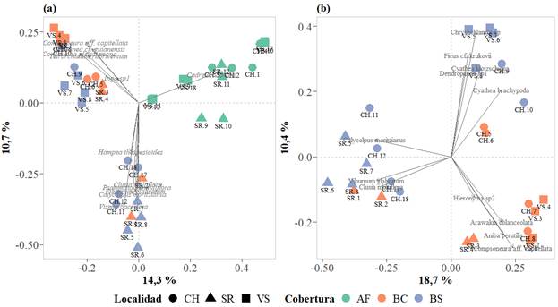Análisis de coordenadas principales (PCoA) a) para los tres tipos de cobertura y b) para BC y BS. Se indican en gris las especies que contribuyen significativamente a la diferenciación florística entre parcelas.