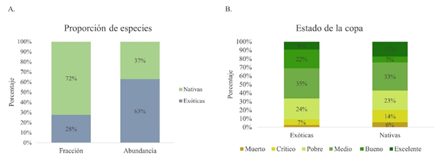 Proporci�n de especies de la barrera arb�rea seg�n su origen (a) y estado de la copa de los individuos de la barrera arb�rea seg�n el origen de las especies (b)