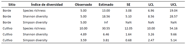 Valores observados respecto en el cultivo y los bordes de las plantaciones de E. urograndis