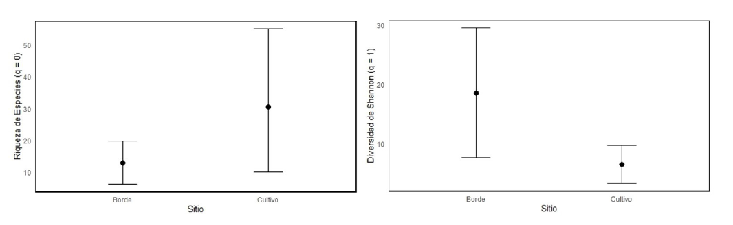 Riqueza de especies (q=0); �ndices de diversidad de Shannon (q=1) para los bordes y el cultivo de las plantaciones de eucalipto