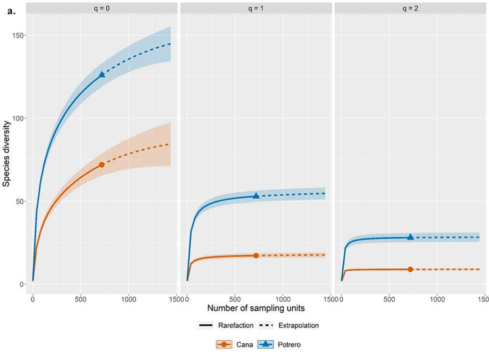 Curvas de rarefacci�n y extrapolaci�n construidas con base en la cobertura de muestreo para q=0, q=1 y q=2, realizadas con el programa R: a) entre h�bitats, b) entre sitios. La l�nea s�lida representa la cobertura de muestreo (interpolaci�n), la l�nea discontinua denota la extrapolaci�n, y las bandas en torno a las curvas corresponden a los intervalos de confianza (IC).