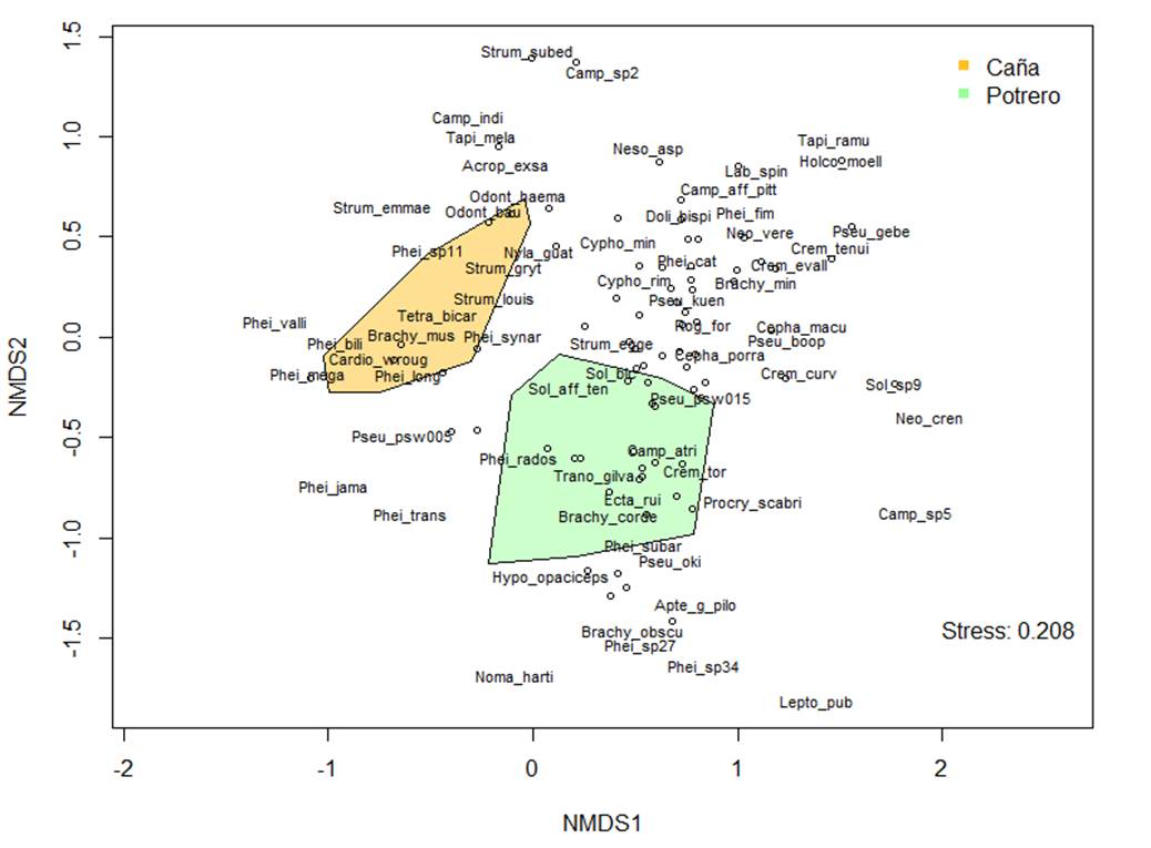 Disimilitud de composici�n entre los h�bitats de ca�a y potrero, representados gr�ficamente por medio de un ordenamiento de escalamiento no m�trico multidimensional (NMDS) con distancia de Jaccard. La distancia entre los pol�gonos indica el grado de diferenciaci�n de los h�bitats.