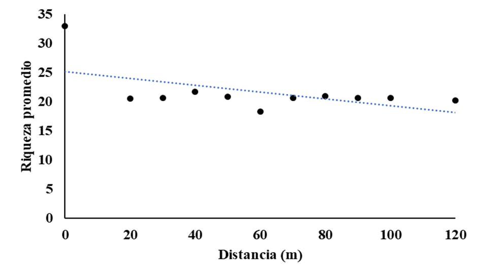 Riqueza promedio de hormigas por estaci�n (puntos negros) a medida que la distancia desde el bosque aumenta. El punto cero indica la estaci�n dentro del bosque m�s cercana al borde (20 m). N�tese que la primera estaci�n en la matriz comienza a 20 m del borde del bosque.