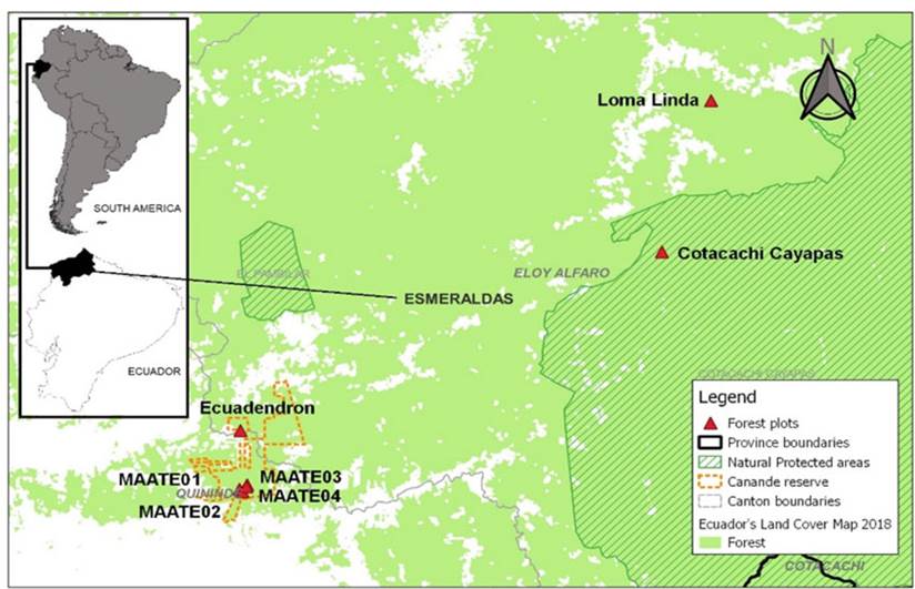 Location of the study area in Ecuador (Equatorial Chocó, Esmeraldas province, and Canandé Reserve), with the distribution of survey plots