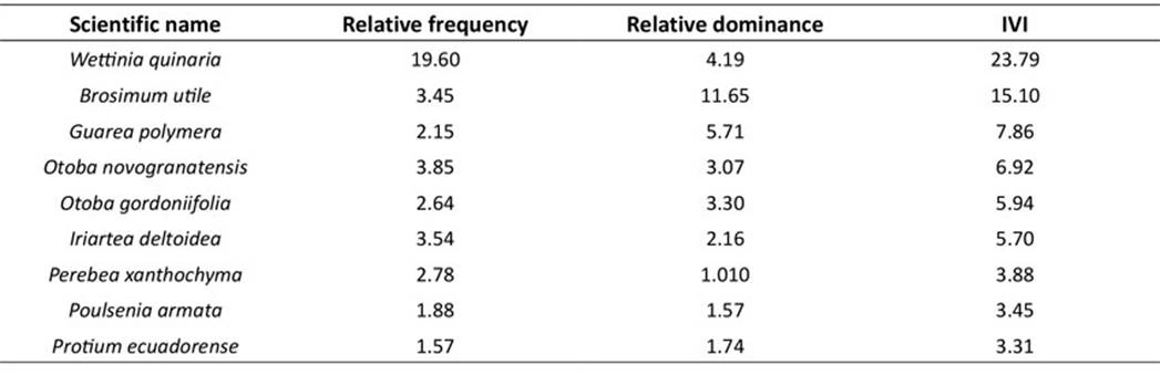 Relative dominance based on the BA of the recorded families in all the plots of the study area