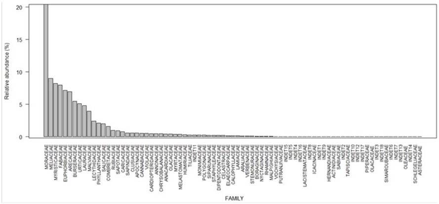 Accumulation curve of the species sampled in all the plots of the study area