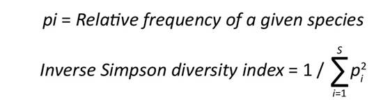 Synoptic structural and diversity inputs, richness, and Simpson index for the studied plots