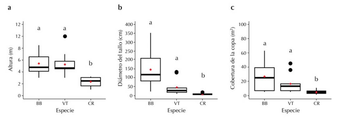 Gráficos de caja de los rasgos vegetativos: a) altura, b) diámetro del tallo y c) cobertura de la copa. N = 10. BB = B. bullata, VT = V. triphyllum y CR = C. ruscifolia. Letras diferentes indican diferencias significativas con p < 0.05. Los puntos rojos indican la media de cada especie.