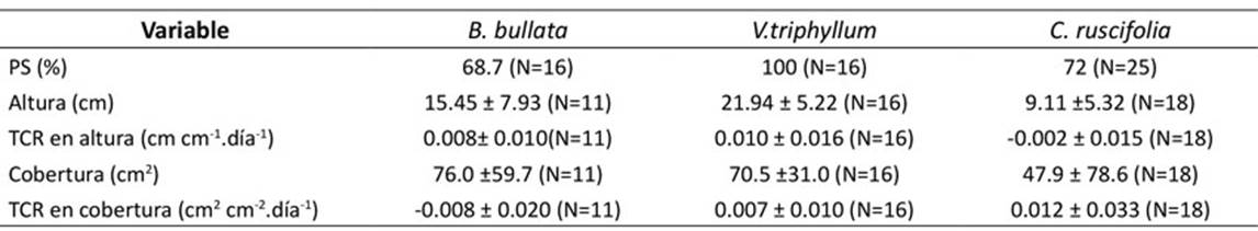 Resultados de ensayos de propagación de B. bullata, V.triphyllum y C. ruscifolia en vivero. PG = porcentaje de germinación, PS = Porcentaje de supervivencia. En el caso de V. triphyllum, el valor de PG corresponde a germinación en condiciones de vivero.