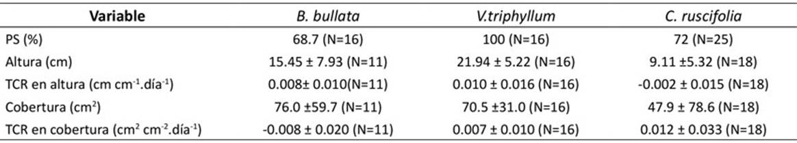 Resultados del establecimiento de B. bullata, V.triphyllum y C. ruscifolia en campo luego de 160 días. PS= porcentaje de supervivencia.