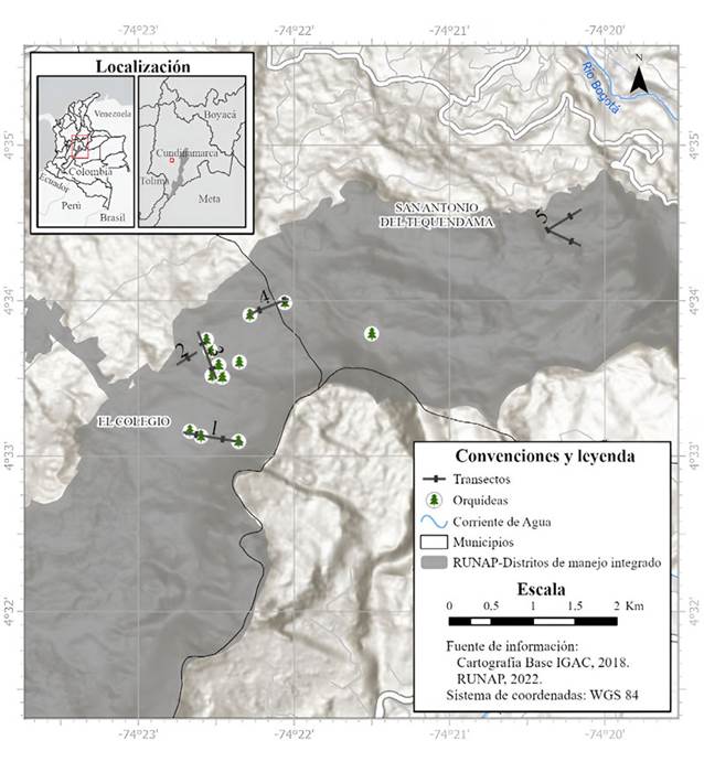Ubicación de los transectos en el área de estudio en el DMI Cuchilla de Peñas Blancas.