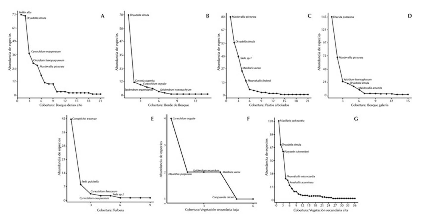 Comparativa de la distribución de abundancias por tipo de vegetación muestreada en un bosque de niebla, Cordillera Oriental, Colombia. A) bosque denso alto, B) borde de bosque, C) pastos arbolados, D) bosque de galería, E) turbera, F) vegetación secundaria alta, G) vegetación secundaria baja.