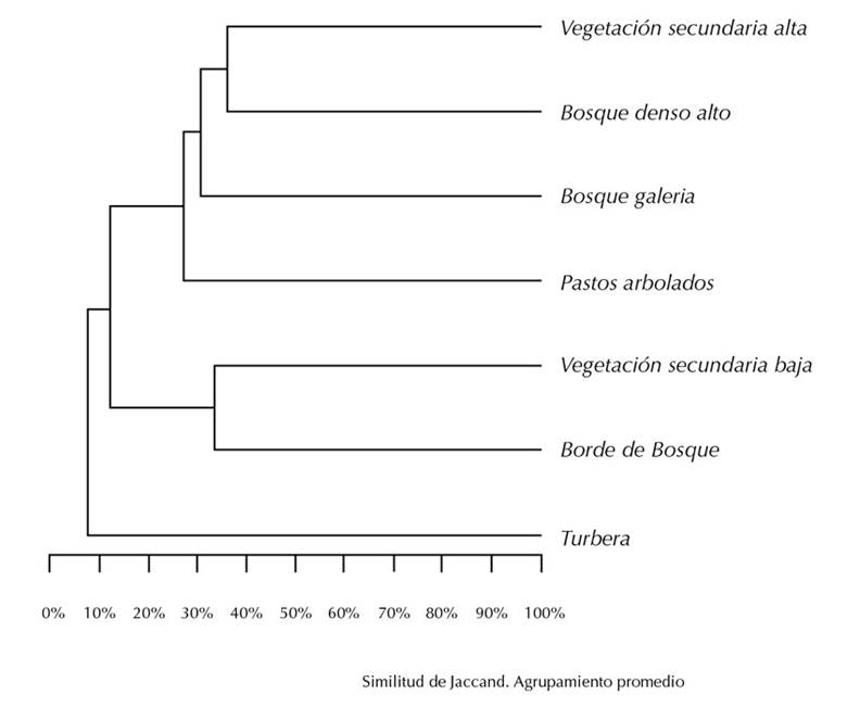 Agrupamiento de tipos de vegetación por similitud de acuerdo con el índice de Jaccard para las orquídeas en un bosque de niebla, Cordillera Oriental, Colombia