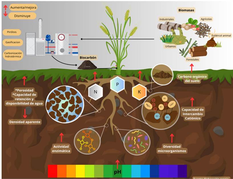 Potencialidades del biocarbón en las propiedades del suelo