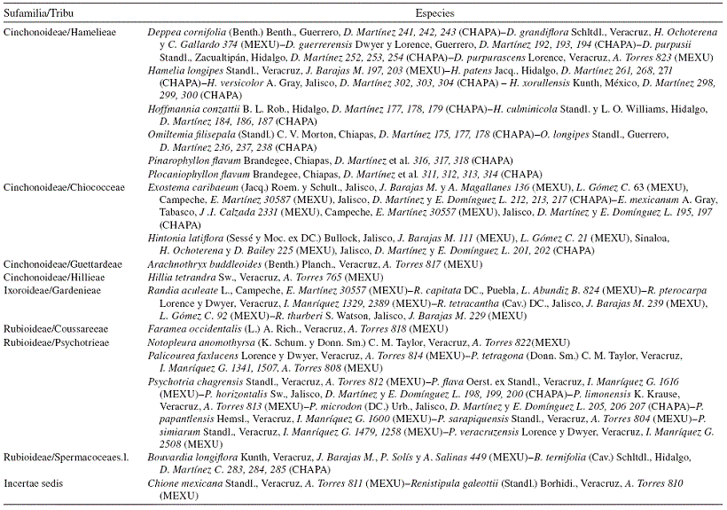 Lista de especies y ejemplares estudiados de la familia Rubiaceae, presentados por tribu, su procedencia por estado y el herbario donde están depositados los especímenes de respaldo.