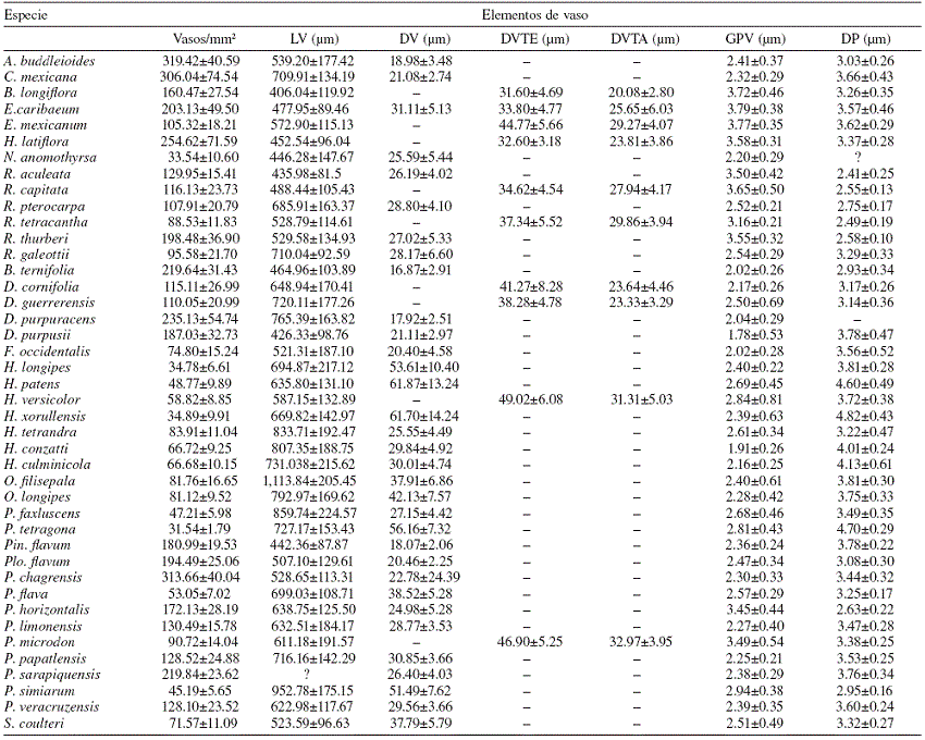 Caracteres anatómicos de la madera de 41 especies de Rubiaceae estudiadas. Se presenta la media aritmética y desviación estándar en cada carácter. No se presentan caracteres cuantitativos para
P. tetragona debido a la imposibilidad de medirlos en la muestra disponible. LV: longitud del elemento de vaso; DV: diámetro tangencial de vaso con porosidad difusa; DVTE: diámetro tangencial de vaso en madera temprana con porosidad anular o semianular; DVTA: diámetro tangencial de vaso en madera tardía con porosidad anular o semianular; GPV: grosor de la pared del vaso; DP: diámetro tangencial de la punteadura intervascular.