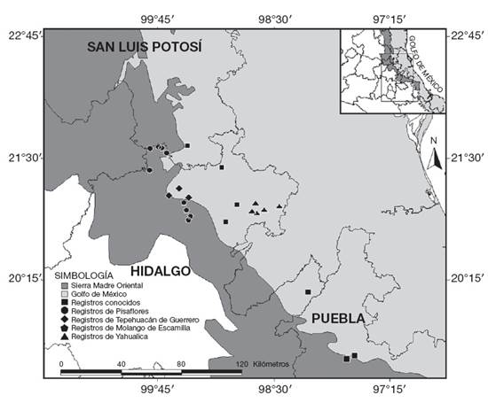 Distribuci&oacute;n geogr&aacute;fica de 
						Lithobates johni  en las provincias biogeogr&aacute;ficas Sierra Madre Oriental y Golfo de M&eacute;xico. Los cuadros negros representan los registros hist&oacute;ricos de la especie; los c&iacute;rculos, rombos, pent&aacute;gonos y tri&aacute;ngulos, representan los registros nuevos en los municipios de Pisaflores, Tepehuac&aacute;n de Guerrero, Molango de Escamilla y Yahualica, respectivamente.
					
