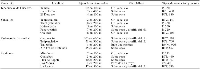 Nuevas localidades de distribuci&oacute;n para 
						Lithobates johni  en el estado de Hidalgo, M&eacute;xico. Los registros son del periodo de marzo de 2011 a junio de 2013. BMM= bosque mes&oacute;filo de monta&ntilde;a, BTC= bosque tropical caducifolio, BTP= bosque tropical perennifolio, BTS= Bosque tropical subcaducifolio, P= potrero y CS= cafetal de sombra.
					