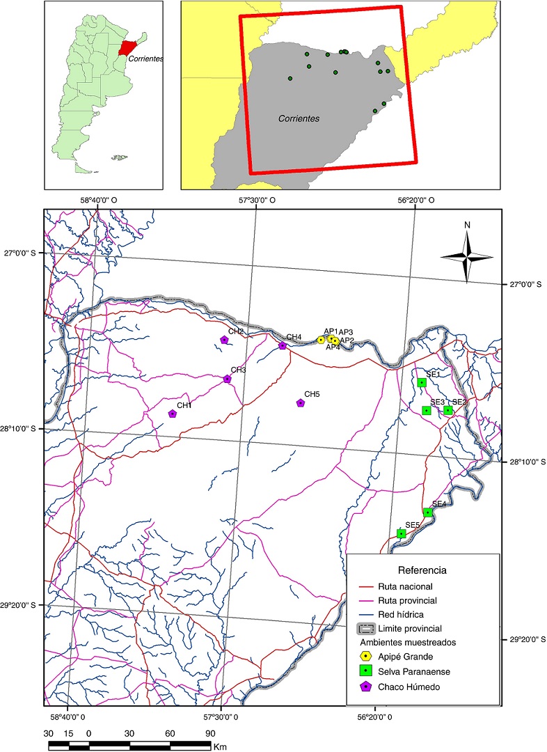 Mapa del área de estudio, mostrando los sitios de muestreo en Chaco Húmedo (CH), Apipé Grande (AP) y selva Paranaense (SE).