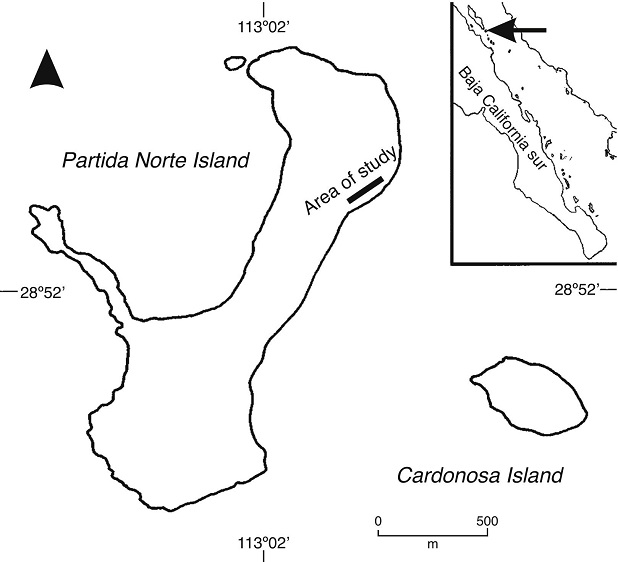 Localization of the area of study in Isla Partida Norte, Gulf of California, Mexico.
