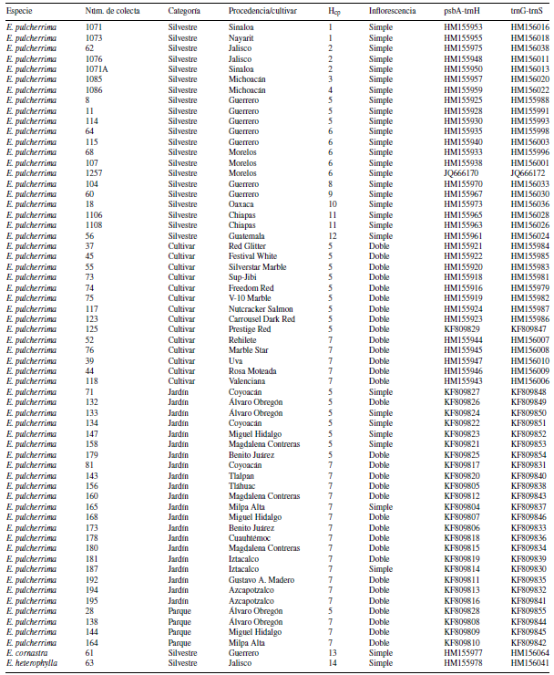 Plantas de Euphorbia analizadas en este estudio. Se presenta la especie, el número de colecta, la procedencia en México, con excepción de Sacatepéquez que pertenece a Guatemala, el número de haplotipo de cloroplasto (Hcp), tipo de inflorescencia y número de accesión en GenBank siguiendo la numeración de Trejo et al. (2012).