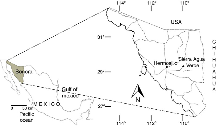 Location of the Sierra Agua Verde (Almazán-Vázquez et al., 2007).