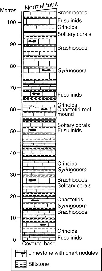 Stratigraphic column of the La Joya formation in Sierra Agua Verde (from Ochoa-Camarillo & Sosa-León, 1993).