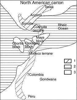 Paleogeographic reconstruction showing the connection between Sonora, the North American Craton (Arizona, Texas) and South American domain through different Mexican terrains (Coahuila, Maya, Mixteco, and Oaxaquia). 1, Carbonate platforms; 2, flysch basins; 3, islands and continents (Gómez-Espinosa et al., 2008).