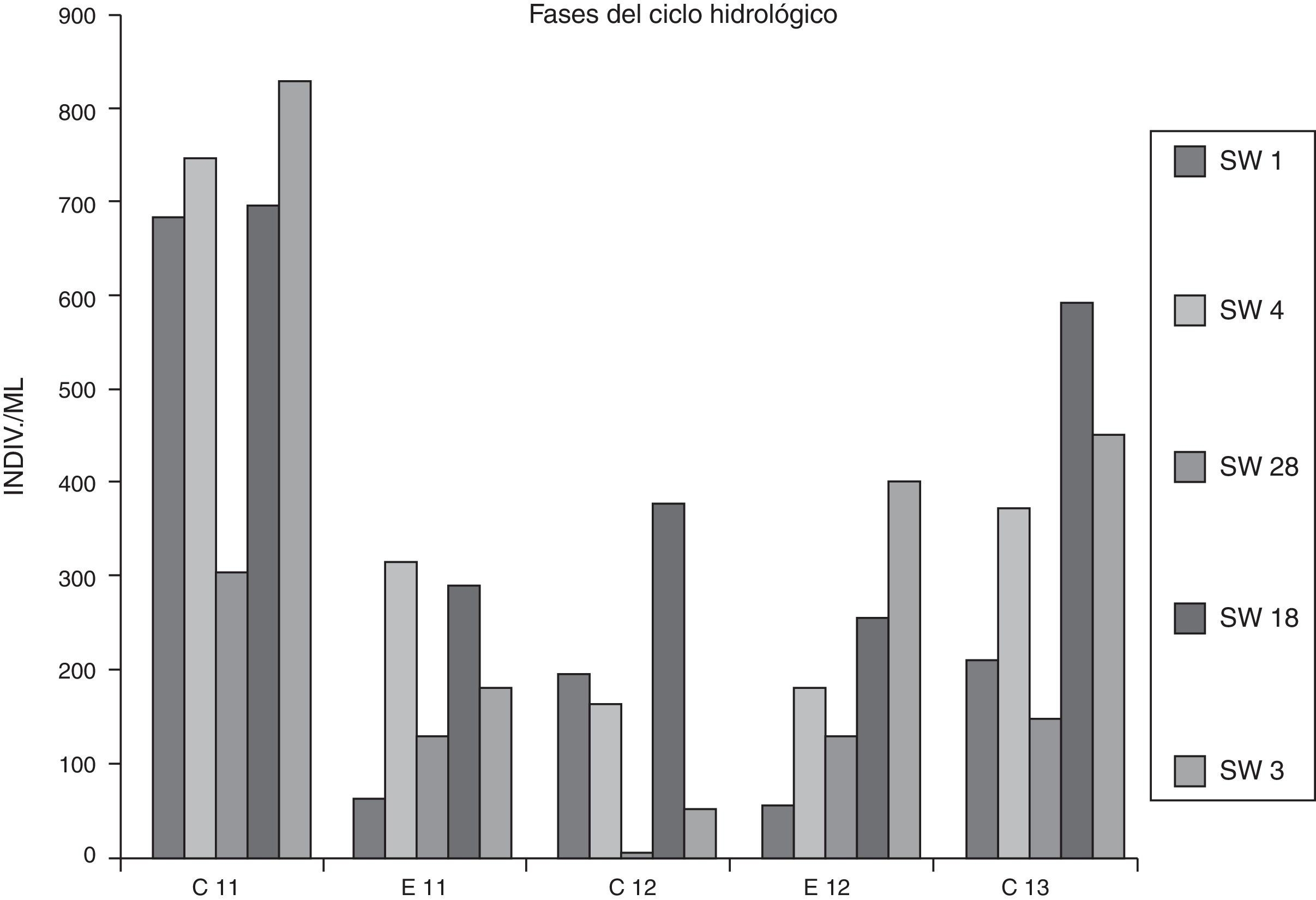 Abundancias del fitoplancton en los sitios muestreados en ambas fases del ciclo hidrológico (C: fase de aguas altas; E: fase de estiaje). E11: nov 2011; E12: nov 2012; C11: abril 2011; C12: abril 2012; C13: mayo 2013; E: nov 2013.