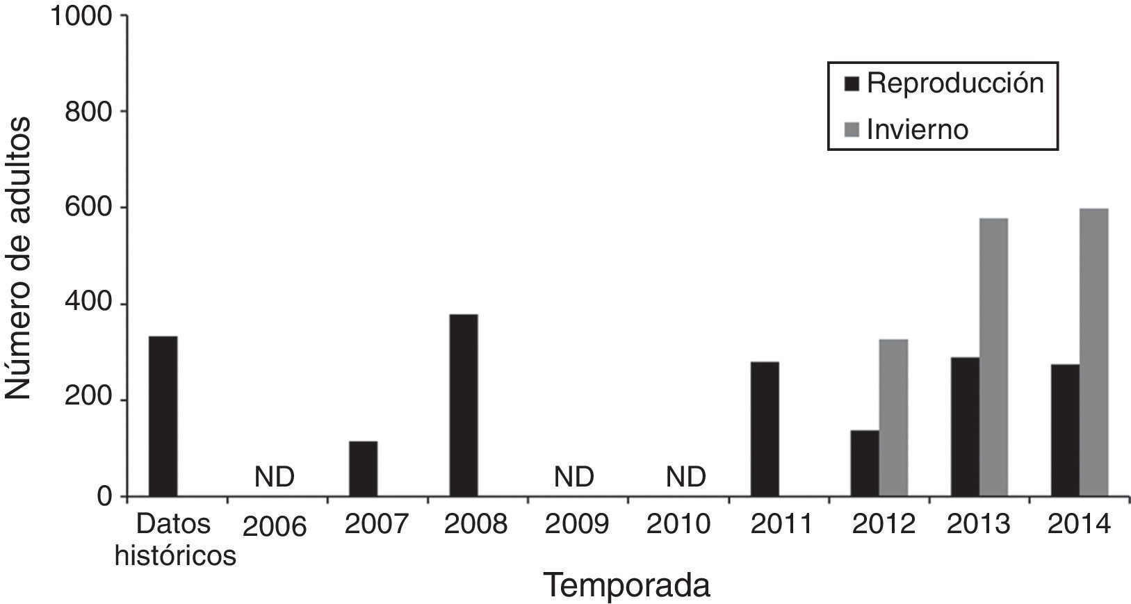 Abundancia de chorlos nevados (Charadrius nivosus) adultos en San Quintín, B. C., México, durante la temporada reproductora e invernal. El conteo de 1991 (Palacios et al., 1994) es la referencia histórica para San Quintín, B. C.