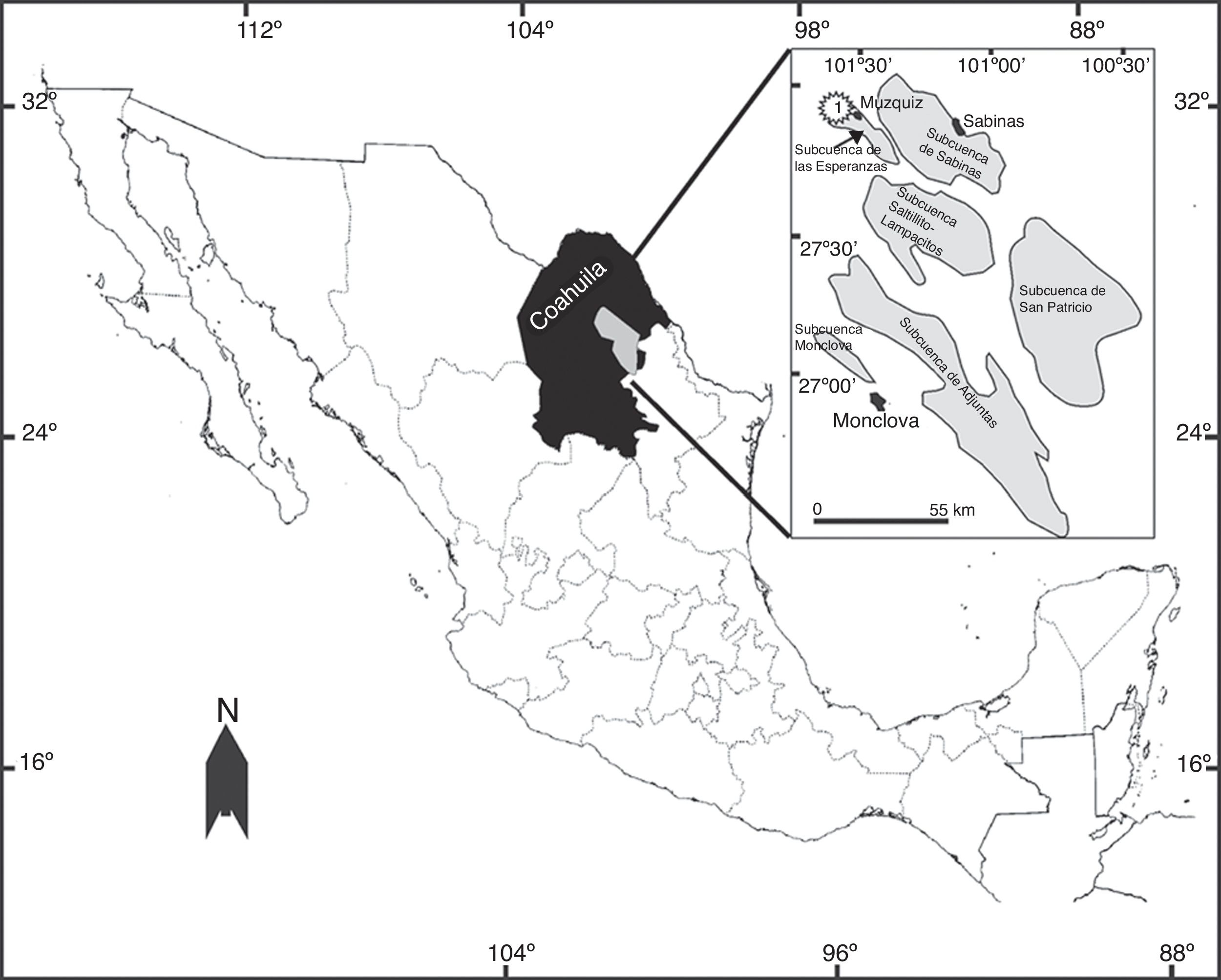 &Aacute;rea de estudio. 1, rancho Atascoso, a 5km de la poblaci&oacute;n de M&uacute;zquiz, Coahuila, M&eacute;xico (modificada de 
							Estrada-Ruiz y Cevallos-Ferriz, 2009).
						
