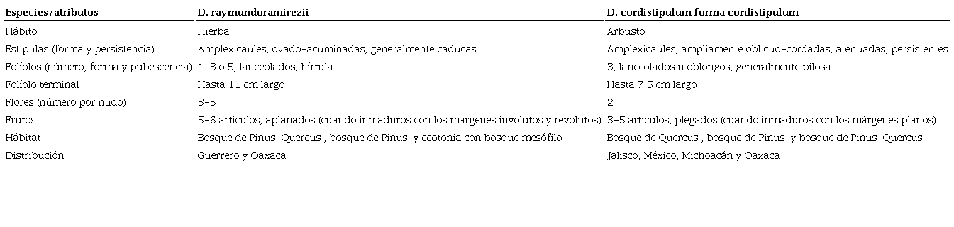 Comparaci&oacute;n morfol&oacute;gica de h&aacute;bitat y de distribuci&oacute;n geogr&aacute;fica entre 
							Desmodium raymundoramirezii y 
							D. cordistipulum forma cordistipulum.
						