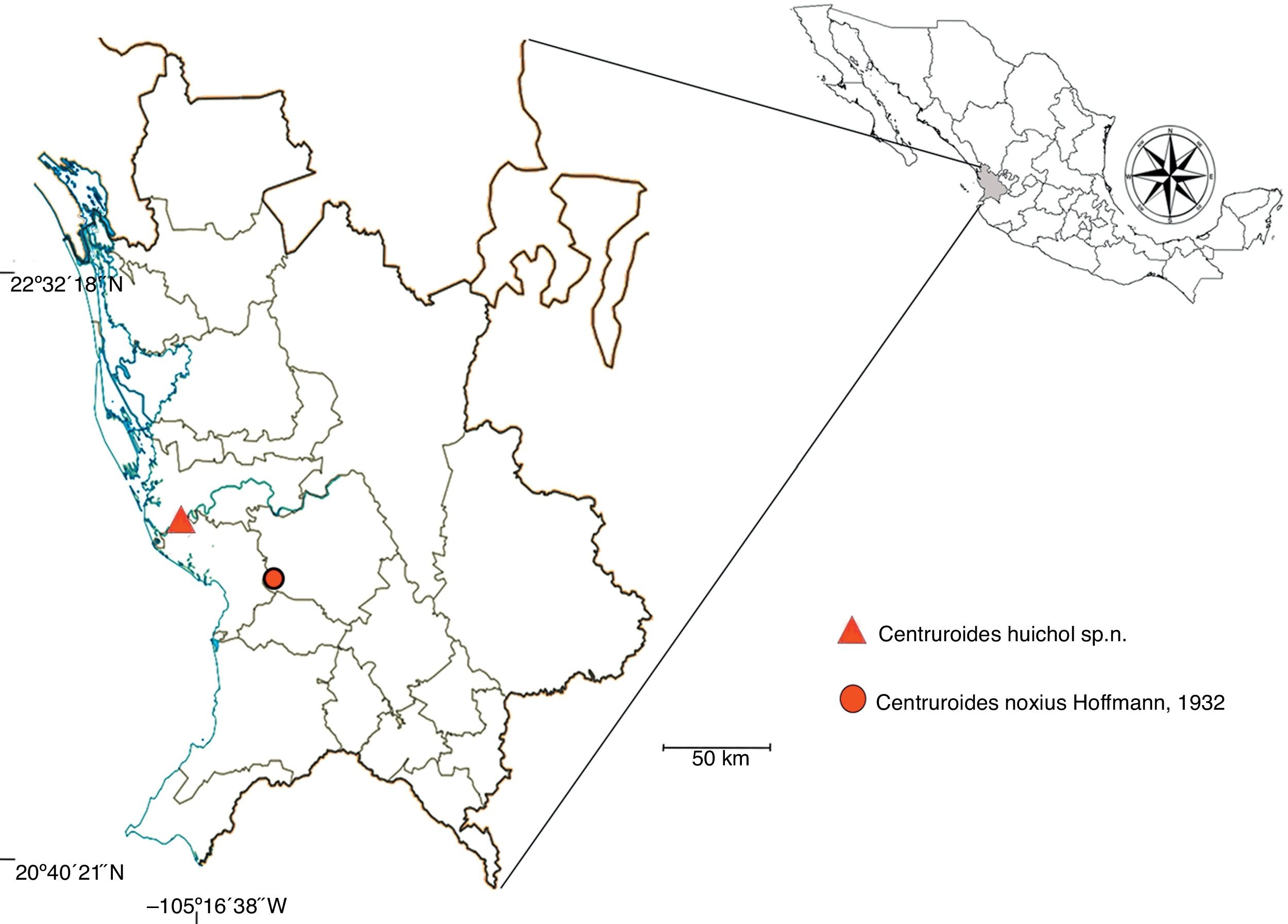 Type localities of 
								Centruroides noxiusHoffmann, 1932 and Centruroides huichol sp. n. in Nayarit, Mexico. Modified from 
								Inegi (1997).
							