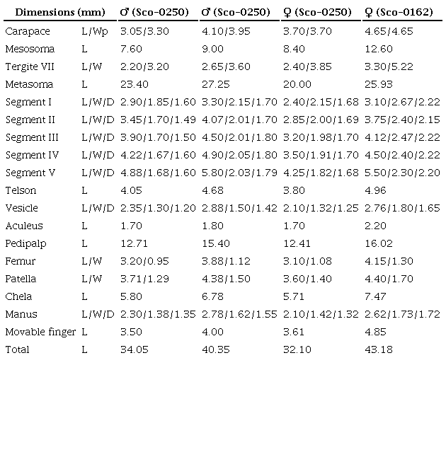 Measurements of 4 topotypes of 
								Centruroides noxiusHoffmann, 1932. Abbreviations: length (L), width (W), posterior width (Wp), depth (D).
							