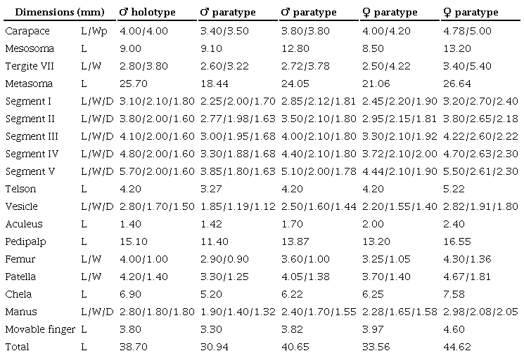 Measurements of 5 types of 
								Centruroides huichol sp. n. Abbreviations: length (L), width (W), posterior width (Wp), depth (D).
							