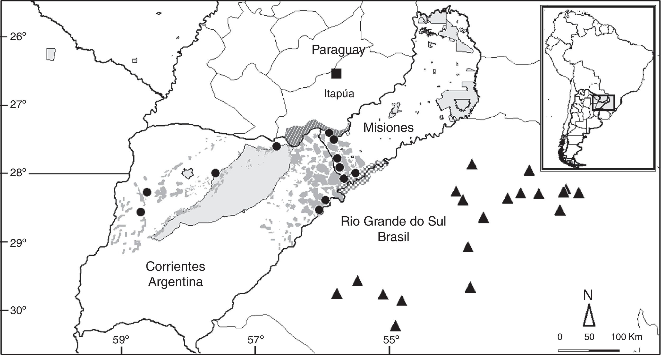 Distribuci&oacute;n geogr&aacute;fica de 
							Micrurus silviae: nuevos datos en Argentina (c&iacute;rculos), y datos previos en Brasil (tri&aacute;ngulos) y Paraguay (cuadrado). Los pol&iacute;gonos gris claro indican las &aacute;reas protegidas de Argentina. Los pol&iacute;gonos gris oscuro, las forestaciones de pino y eucaliptos que reemplazaron pastizales naturales. El pol&iacute;gono con rayas oblicuas blancas, el &aacute;rea de inundaci&oacute;n de la represa de Yacyret&aacute;. El pol&iacute;gono cuadriculado gris y blanco, el &aacute;rea de afectaci&oacute;n de la proyectada represa de Garab&iacute;.
						