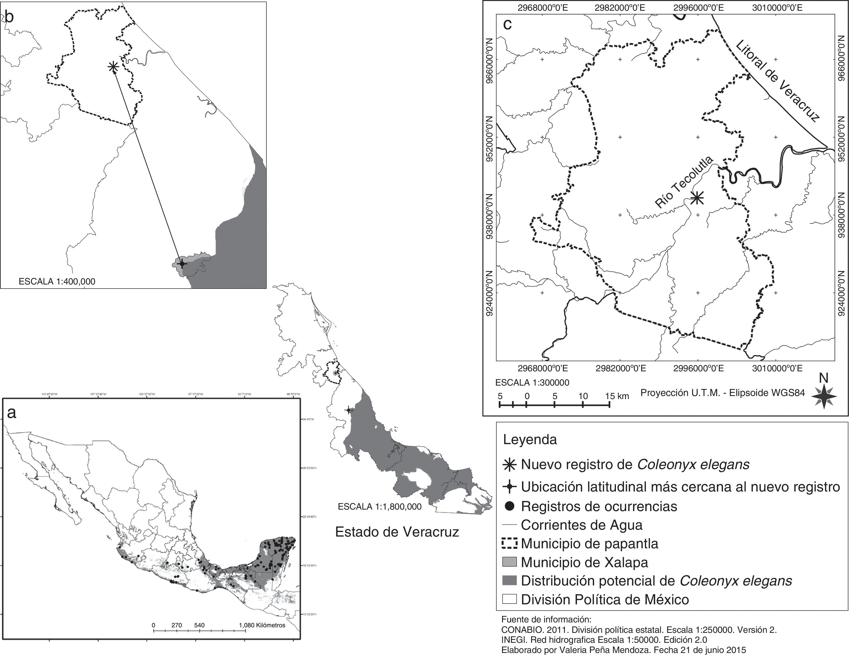 a) Distribuci&oacute;n potencial de 
						Coleonyx elegans en M&eacute;xico (tomada de 
						Monroy-Vilchis et al., 2014). b) Distancia al registro m&aacute;s pr&oacute;ximo. c) Registro actual de 
						Coleonyx elegans en el norte de Veracruz, M&eacute;xico.
					