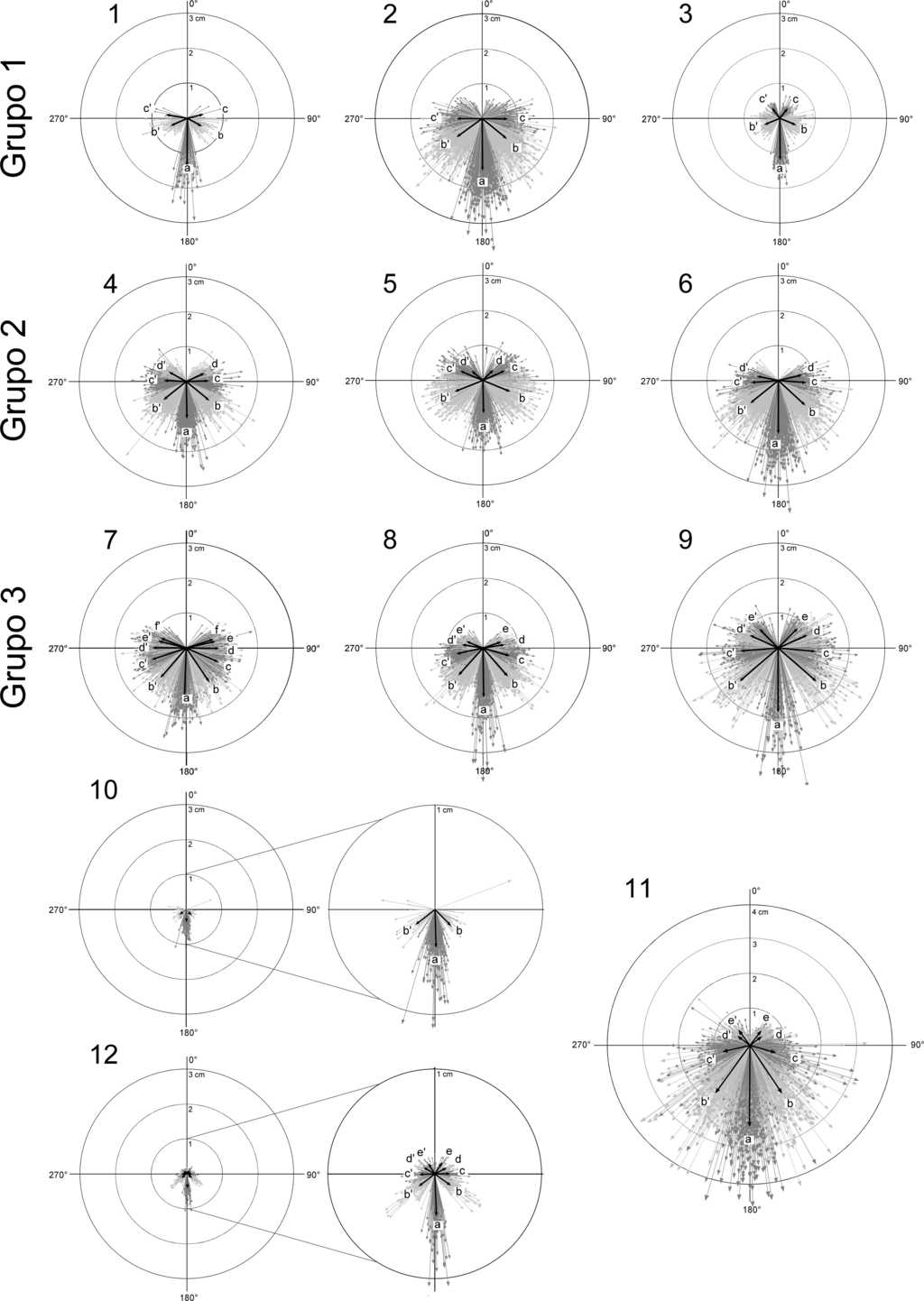 Gr&aacute;ficos circulares por especie y agrupaciones por similitud visual. Grupo A: 1) Neobuxbaumia sanchezmejoradae, 2) N. multiareolata, 3) N. sp. 1; grupo B: 4) N. mezcalaensis, 5) N. scoparia, 6) N. squamulosa; grupo C: 7) N. macrocephala, 8) N. tetetzo, 9) P. fulviceps; especies independientes: 10) N. euphorbioides, 11) N. polylopha, 12) N. sp. 2.