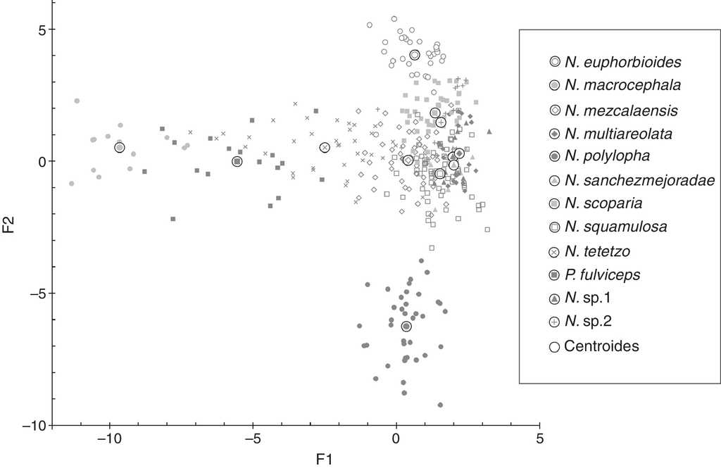 Gr&aacute;fico de las 2 primeras funciones can&oacute;nicas y los centroides de cada clase, para las 9 especies de Neobuxbaumia y P. fulviceps. Las observaciones de cada especie se distinguen con una marca espec&iacute;fica, mientras los centroides est&aacute;n indicados con una marca de mayor tama&ntilde;o.