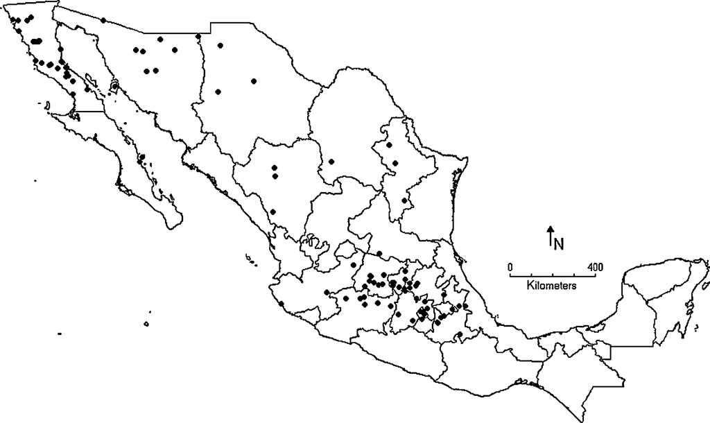 Distribuci&oacute;n de Largus sculptilis Bliven.