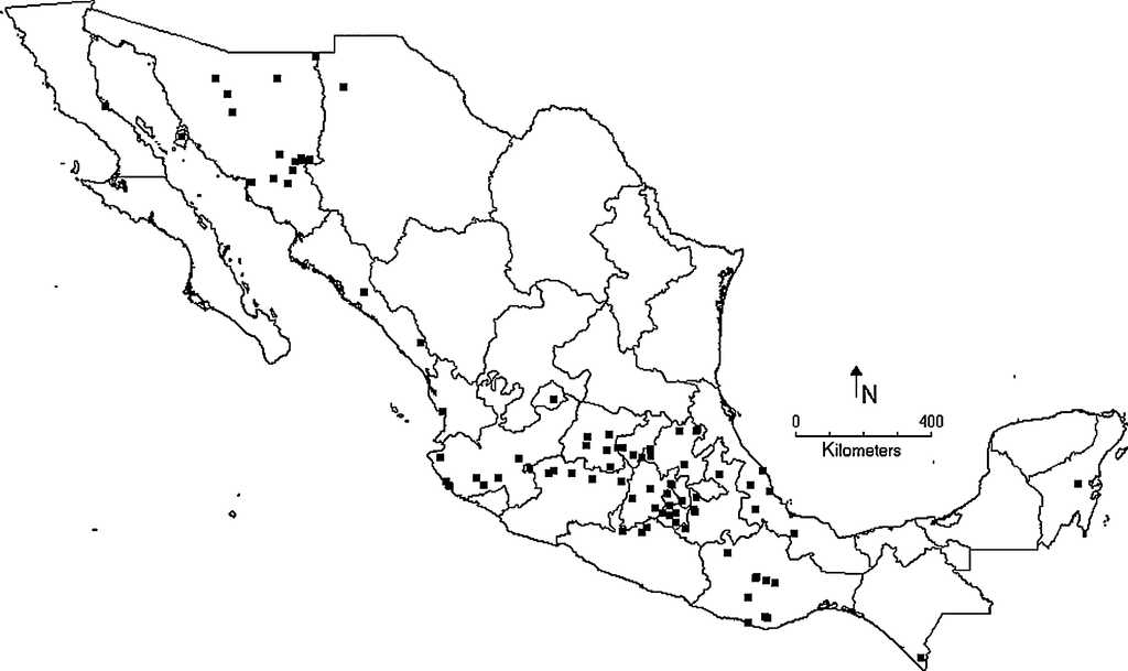 Distribuci&oacute;n de Largus cinctus Herrich-Schaeffer.